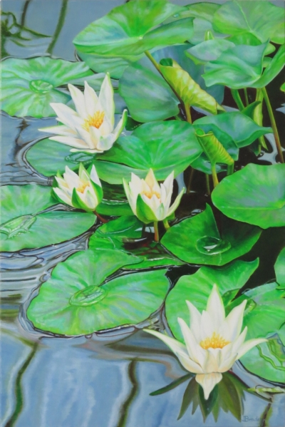 Aqua Flora - Water Lilies